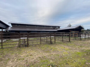Lucatero_Nisqually-Springs-Farm_After-05
