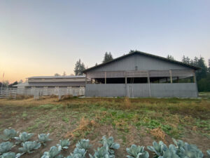 Lucatero_Nisqually-Springs-Farm_Before-03